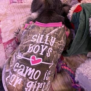 Meet your Posher, Donna